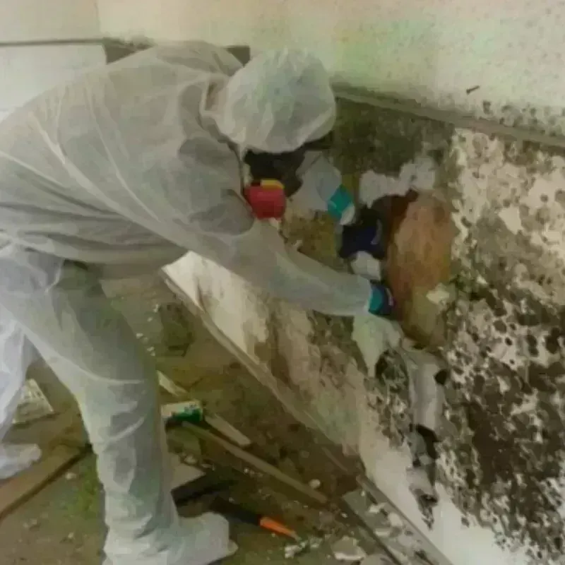 Mold Remediation and Removal in Old Saybrook, CT